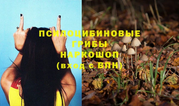 скорость Арсеньев