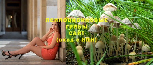 скорость Арсеньев