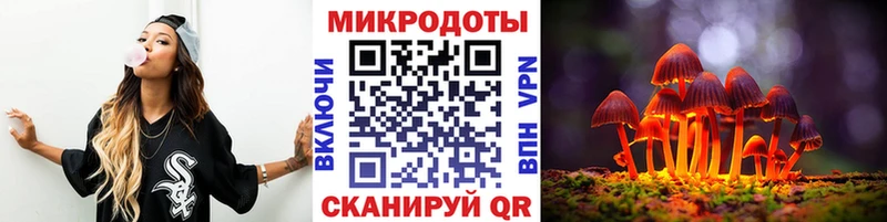 хочу наркоту Порхов Галлюциногенные грибы Cubensis